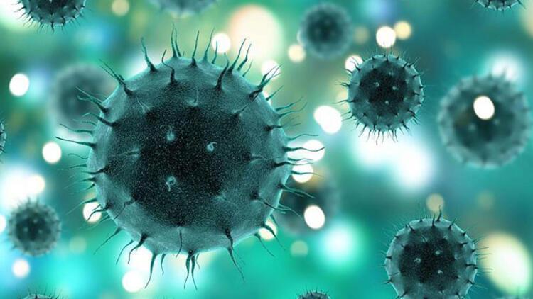 Koronavirüs sonrası görülen saç dökülmesi geçici mi yoksa kalıcı mı Koronavirüs sonrası görülen saç dökülmesi geçici mi yoksa kalıcı mı