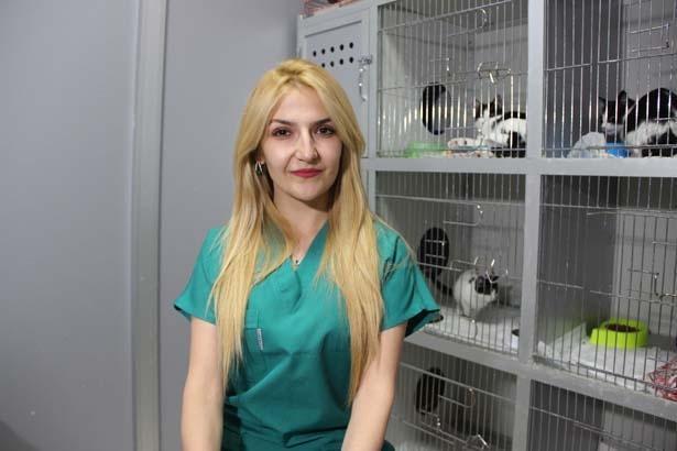 PATİLERİ KESİLEN KEDİNİN ÖLÜMÜNDE BÜYÜ İDDİASI PATİLERİ KESİLEN KEDİNİN ÖLÜMÜNDE BÜYÜ İDDİASI