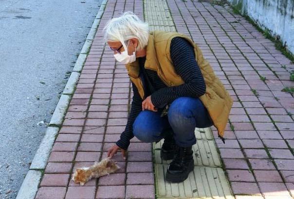Son dakika... 21 Aralık uyarısı Kediler kaybolmaya başladı Son dakika... 21 Aralık uyarısı Kediler kaybolmaya başladı