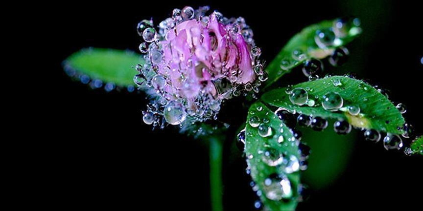 CEMRE DÜŞME TARİHLERİ