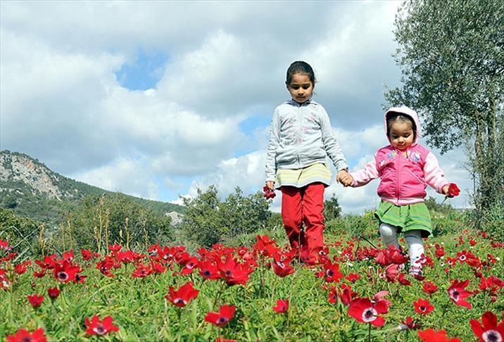 İLK CEMRE NE ZAMAN DÜŞECEK 2021