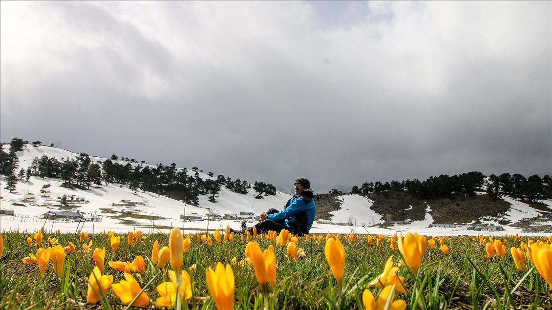 Cemre Olayının Tarihçesi