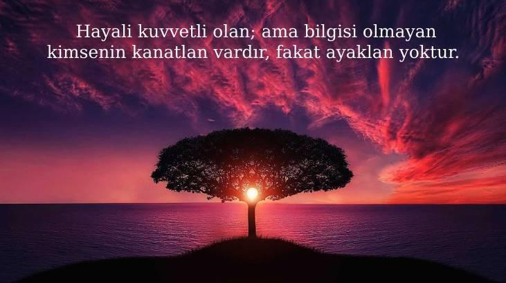 Hayal İle İlgili Sözler 2026: Hayal Gücü, Umut Etmek Ve Hayal Kurmak Üzerine Güzel Sözler