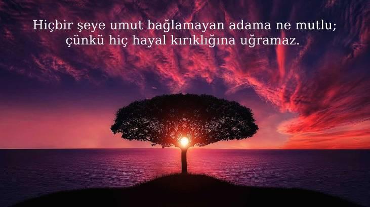 Hayal İle İlgili Sözler 2026: Hayal Gücü, Umut Etmek Ve Hayal Kurmak Üzerine Güzel Sözler