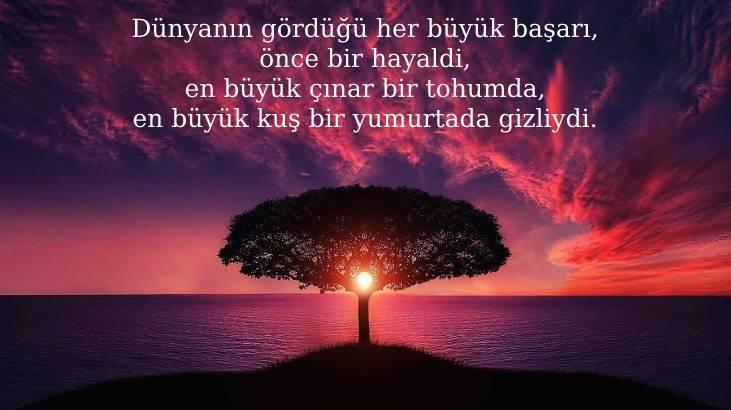 Hayal İle İlgili Sözler 2026: Hayal Gücü, Umut Etmek Ve Hayal Kurmak Üzerine Güzel Sözler