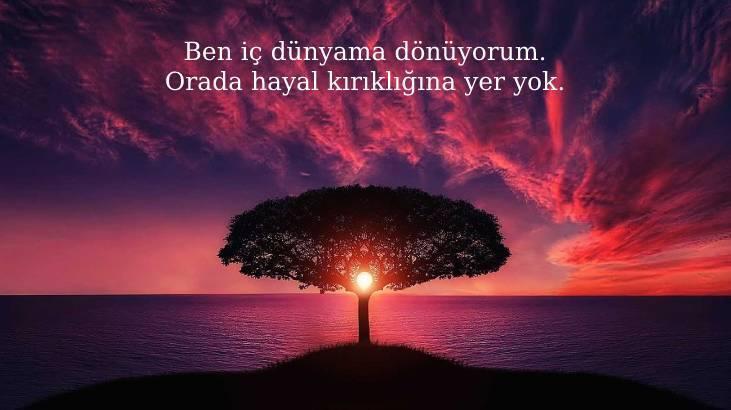 Hayal İle İlgili Sözler 2026: Hayal Gücü, Umut Etmek Ve Hayal Kurmak Üzerine Güzel Sözler