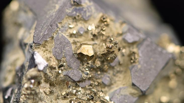 Dolar ve altın fiyatları ne kadar oldu