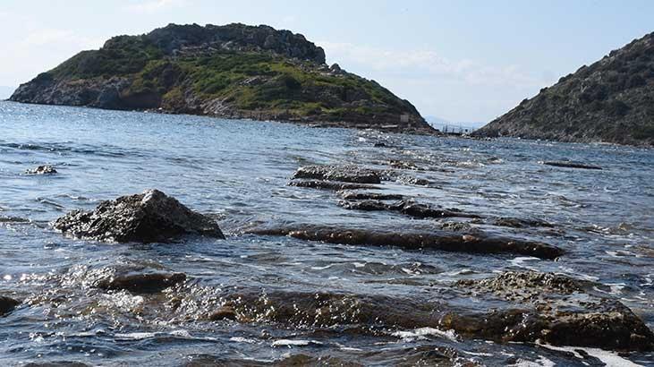 Bodrumda kral yolu yeniden ortaya çıktı