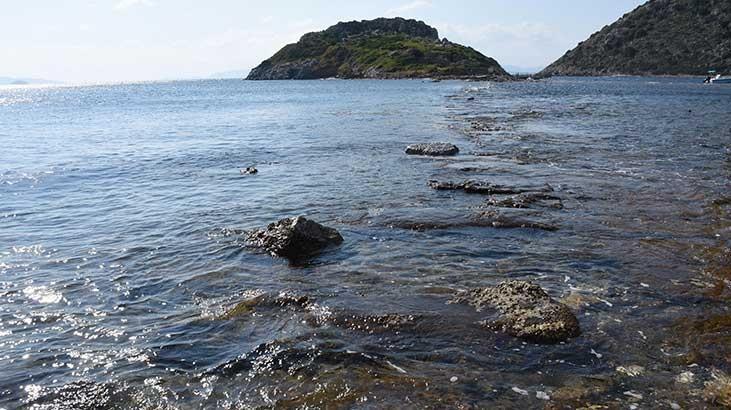 Bodrumda kral yolu yeniden ortaya çıktı