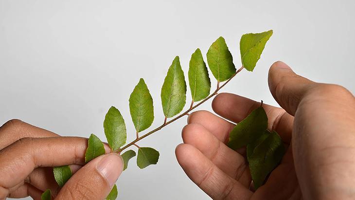 Beyaz saçları yok edip yeniden çıkmasını önleyecek 9 doğal çözüm