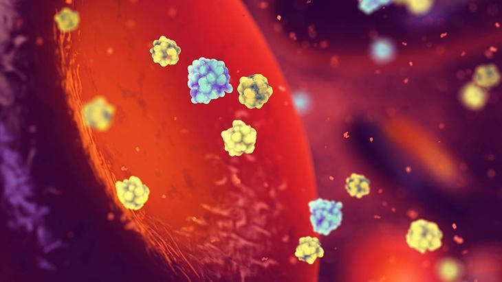 Cins, yaş, kalıtım, yaşam biçimi (beslenme alışkanlıkları, aktivite) de metabolizmaya tesir eder mi