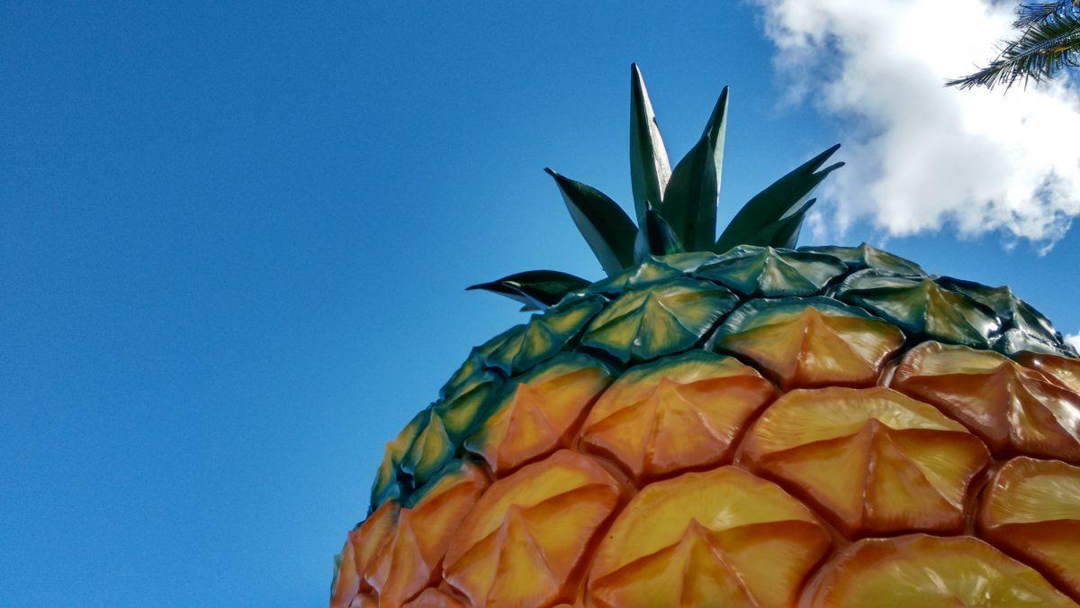 Dünyanın En Komik Yapılarından Biri: The Big Pineapple