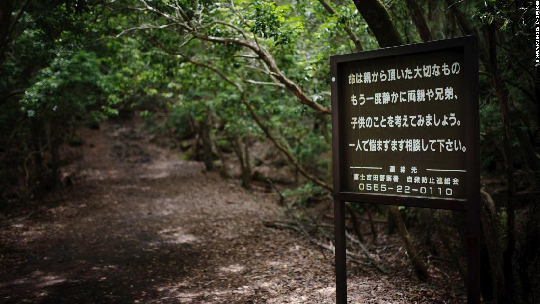 Filmlere Bile Konu Oldu: Japonyadaki İntihar Ormanı