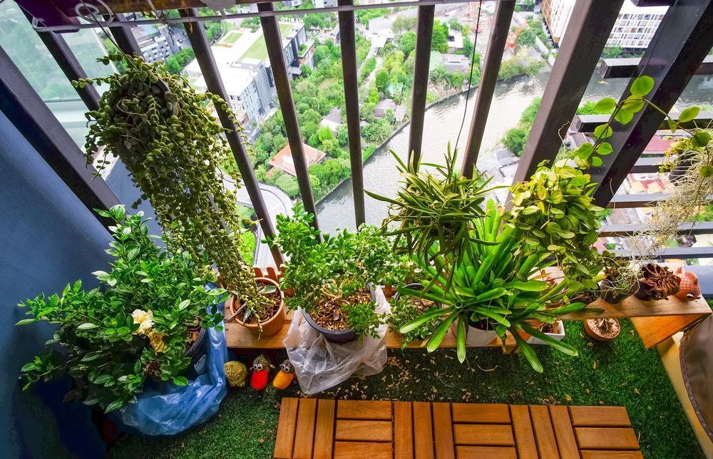 Balkon Bahçeciliği Nasıl Yapılır