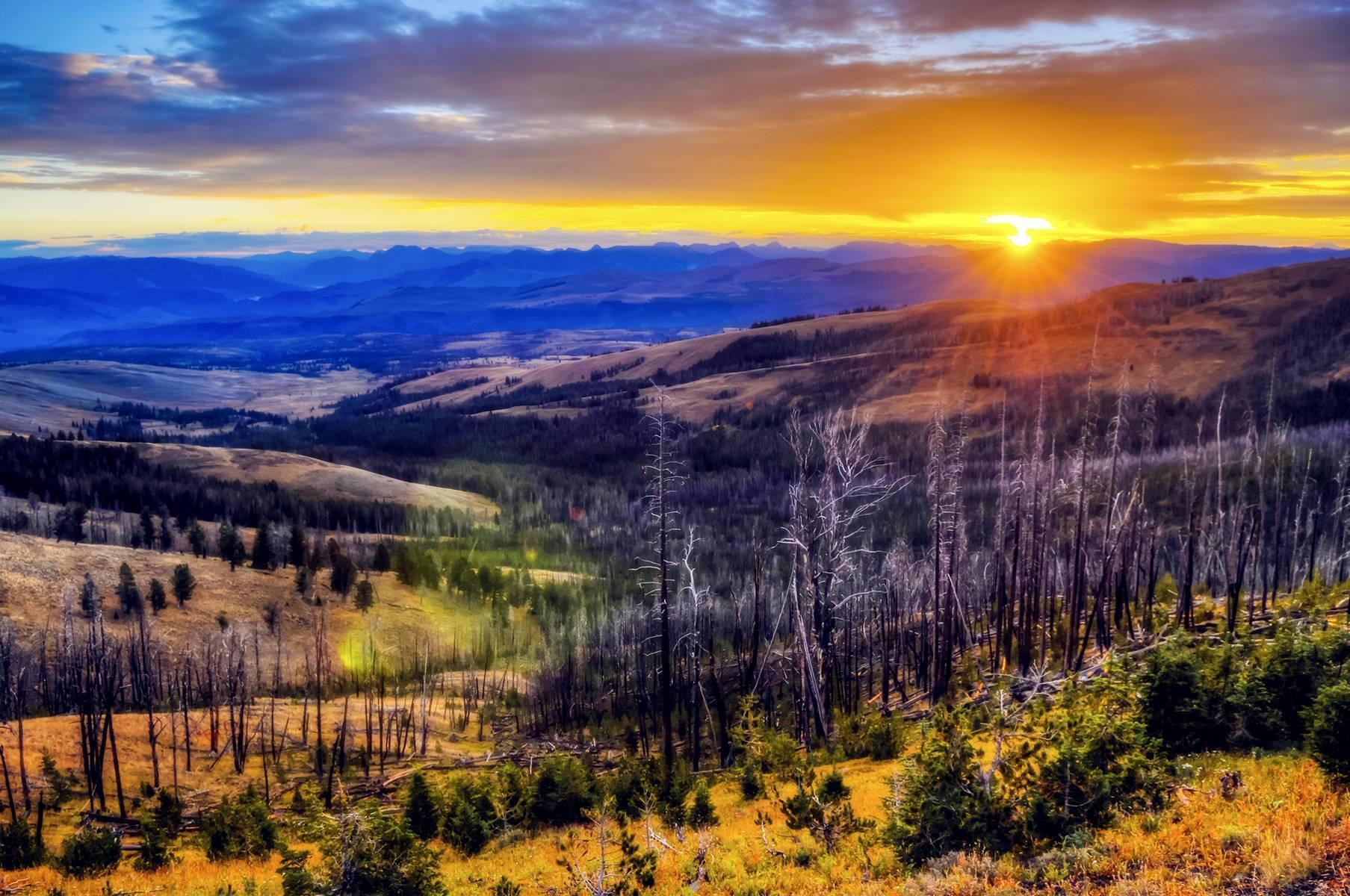 Muhteşem Bir Doğa Harikası: Yellowstone Ulusal Parkı