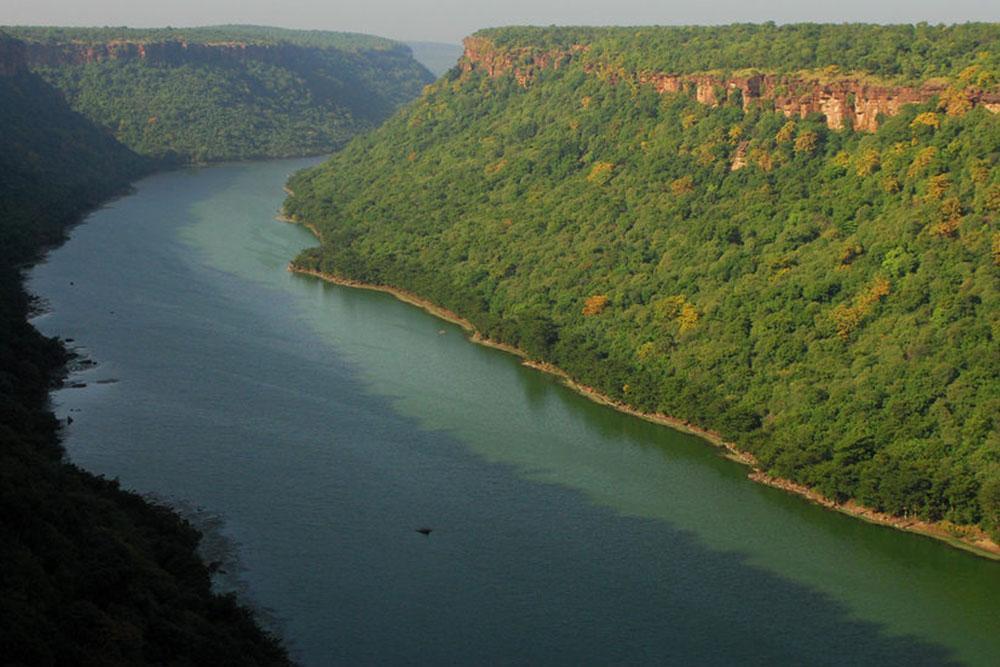 Bir Vahşi Doğa Mabedi: Chambal Nehri