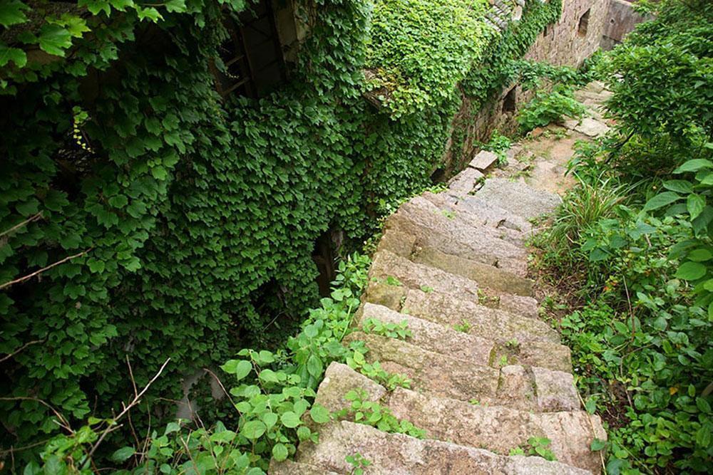 Doğanın Yuttuğu Yer: Shengsi Adası