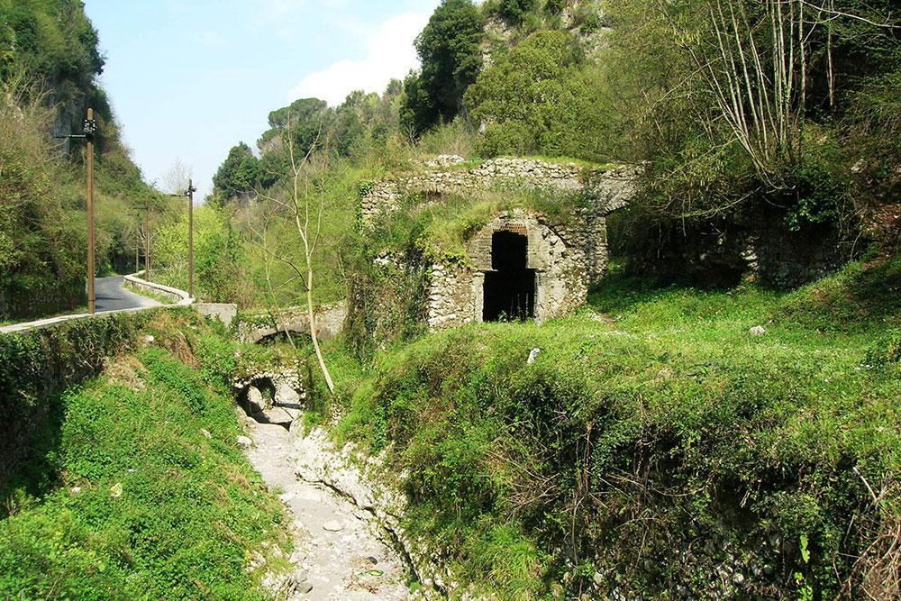 Orada Artık Yalnızca Bitkiler Yaşıyor: Valle dei Mulini