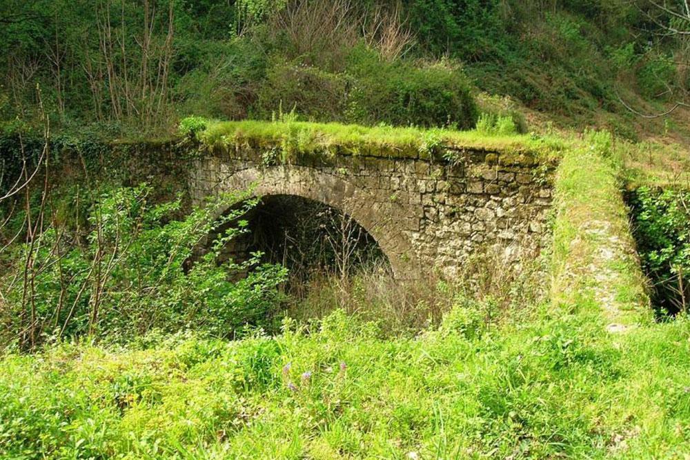 Orada Artık Yalnızca Bitkiler Yaşıyor: Valle dei Mulini