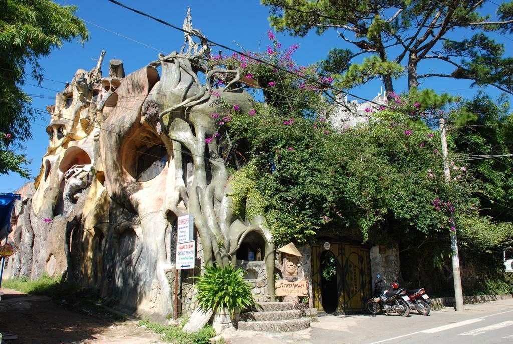 İçi Çılgınlıklarla Dolu: Crazy House