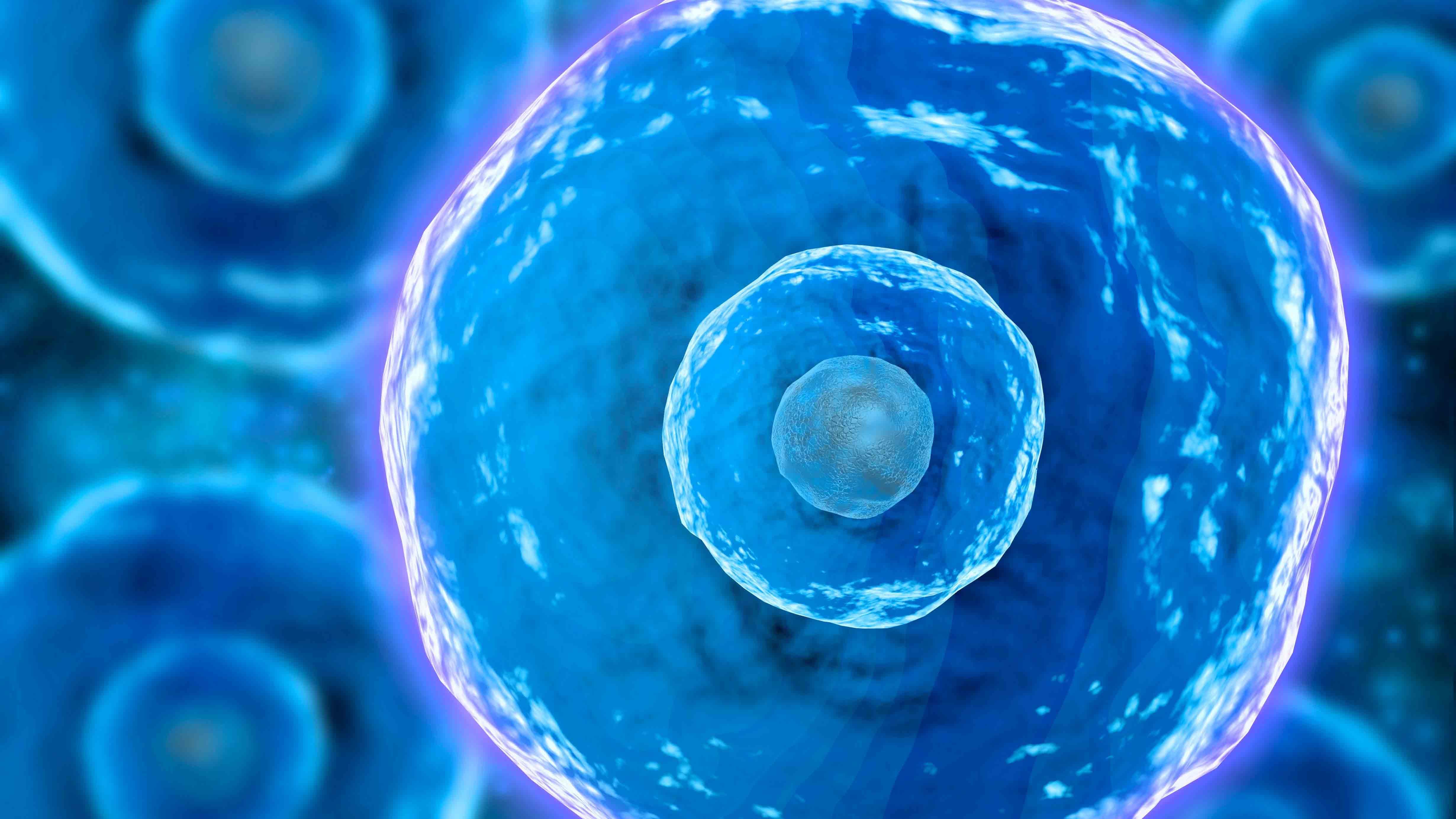 2. Bağışıklık sisteminizi güçlendirir