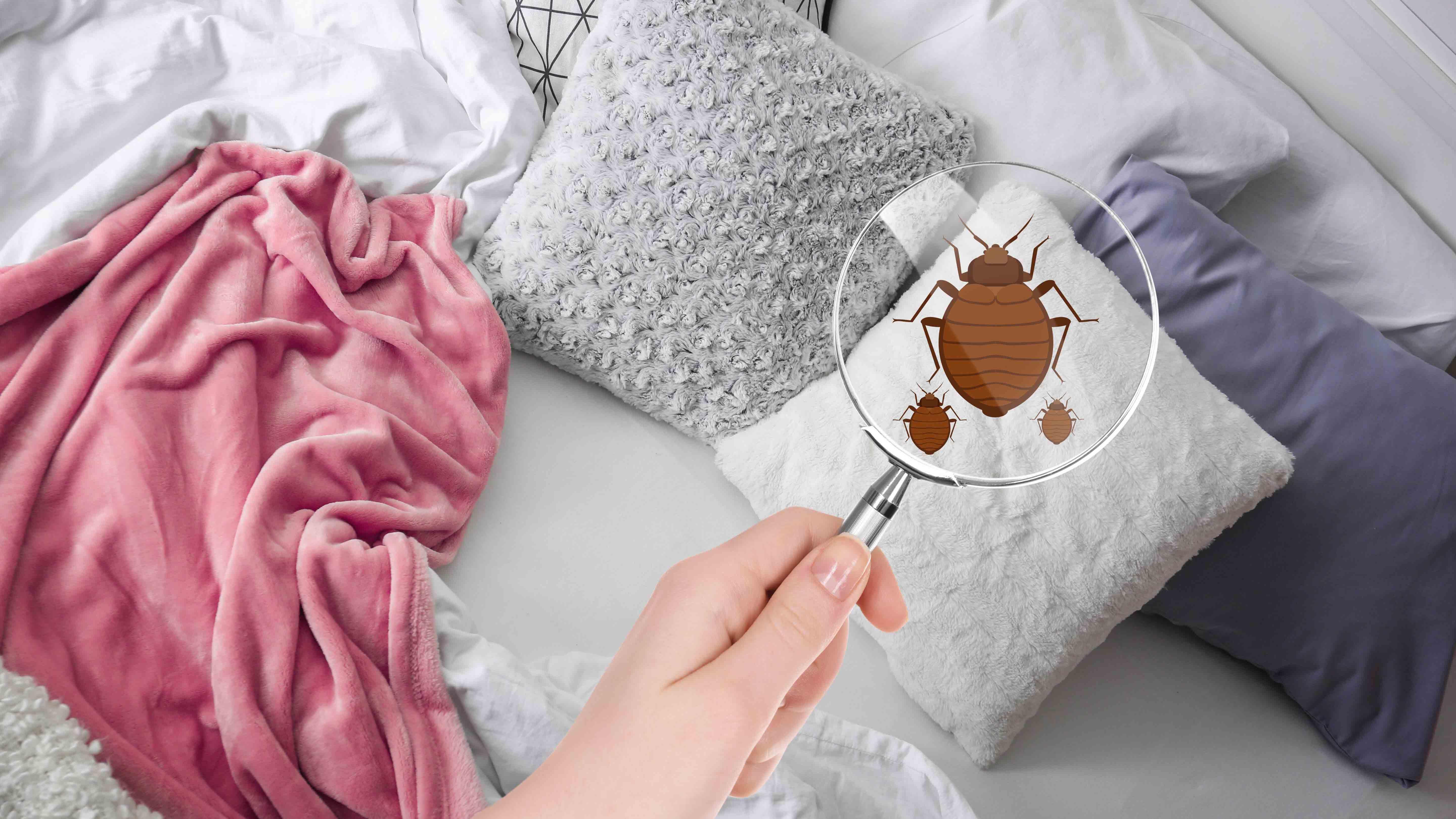 Uyumadan önce yastığın altına sarımsak koyarsanız bakın ne oluyor