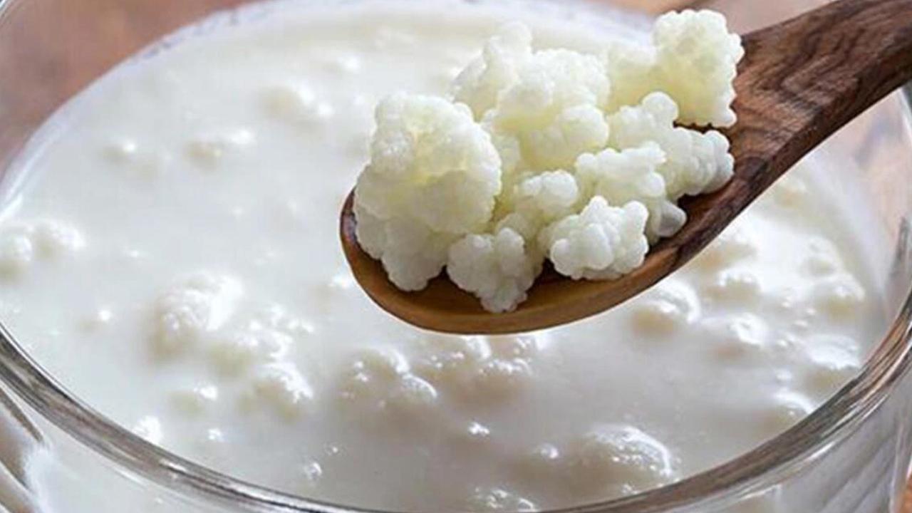 Ramazan içeceğiniz kefir olsun
