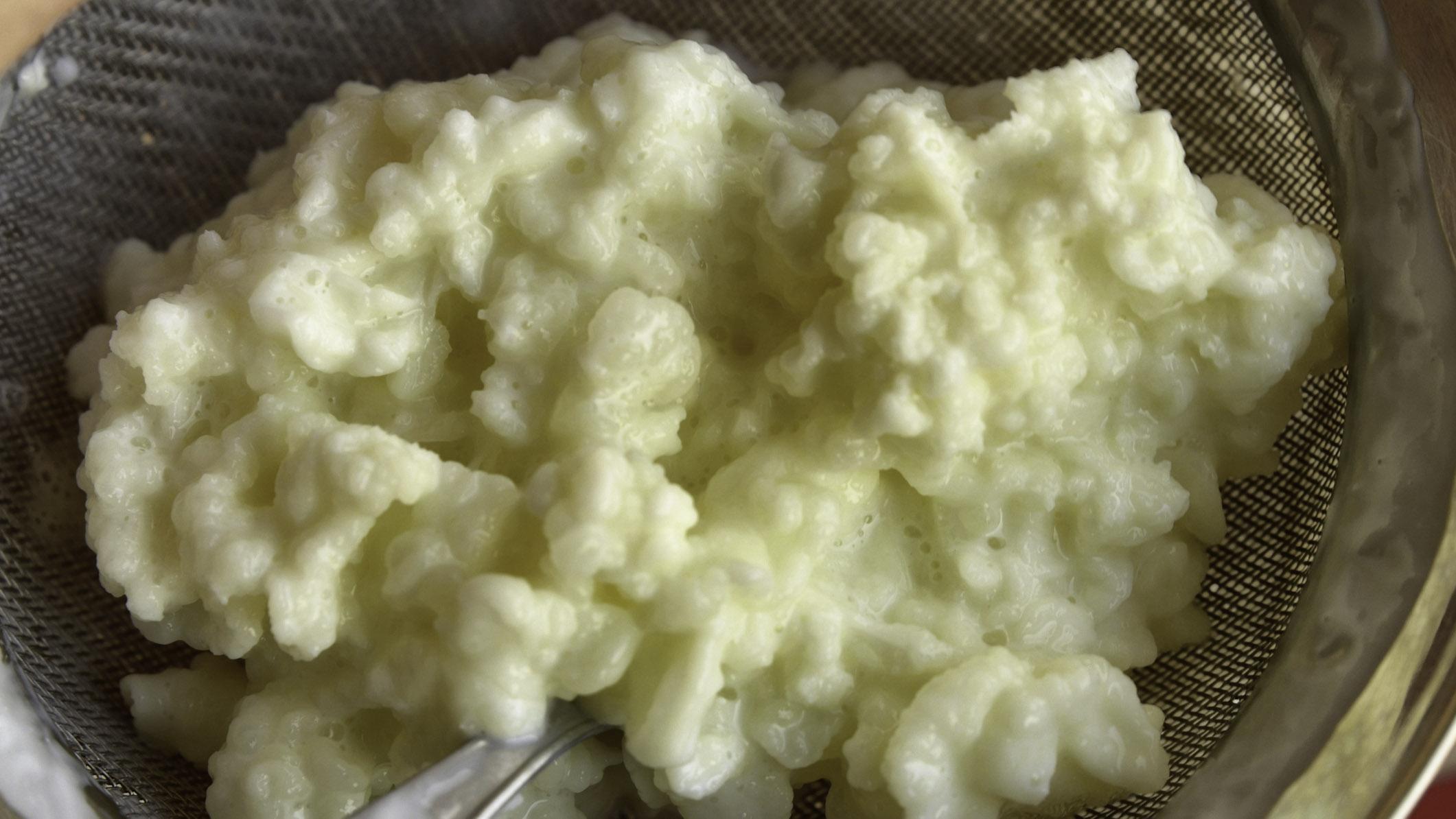 Sağlıklı bir bağışıklık sistemi için kefirli yoğurt tüketin