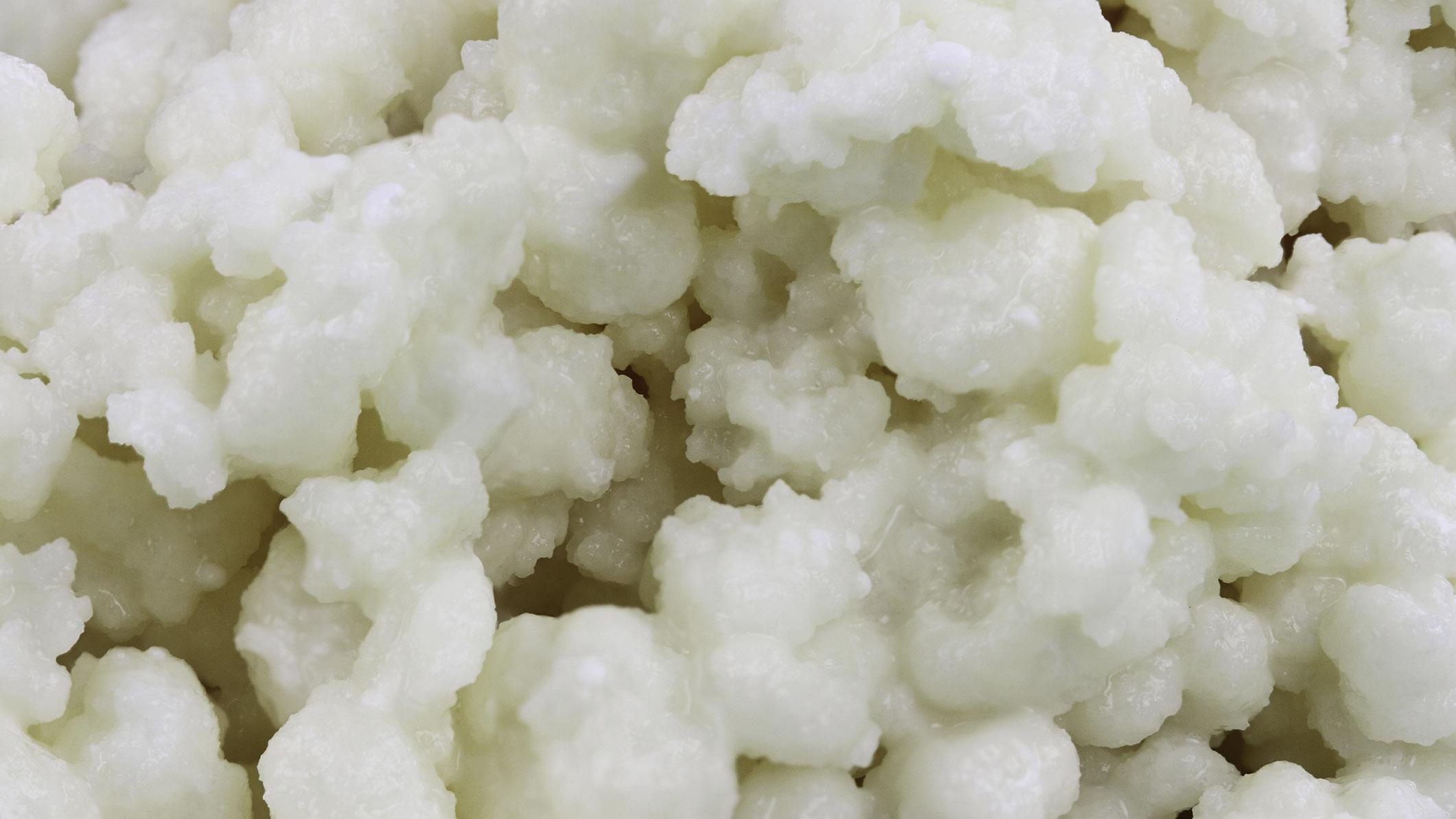 Kefirin hastalıklara iyi geldiği üzerine çok fazla bilimsel kanıt var