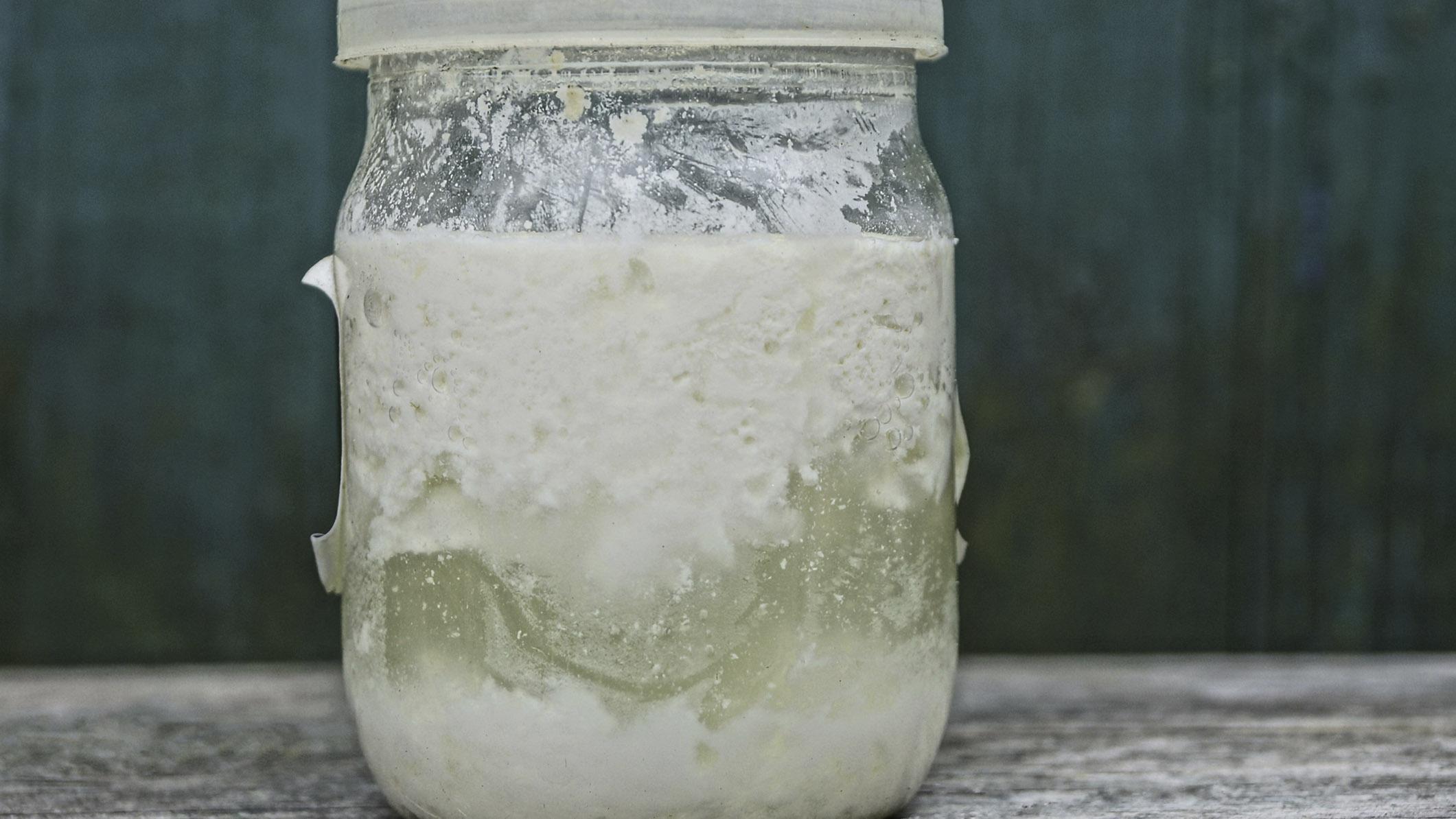 Sağlıklı bir bağışıklık sistemi için kefirli yoğurt tüketin