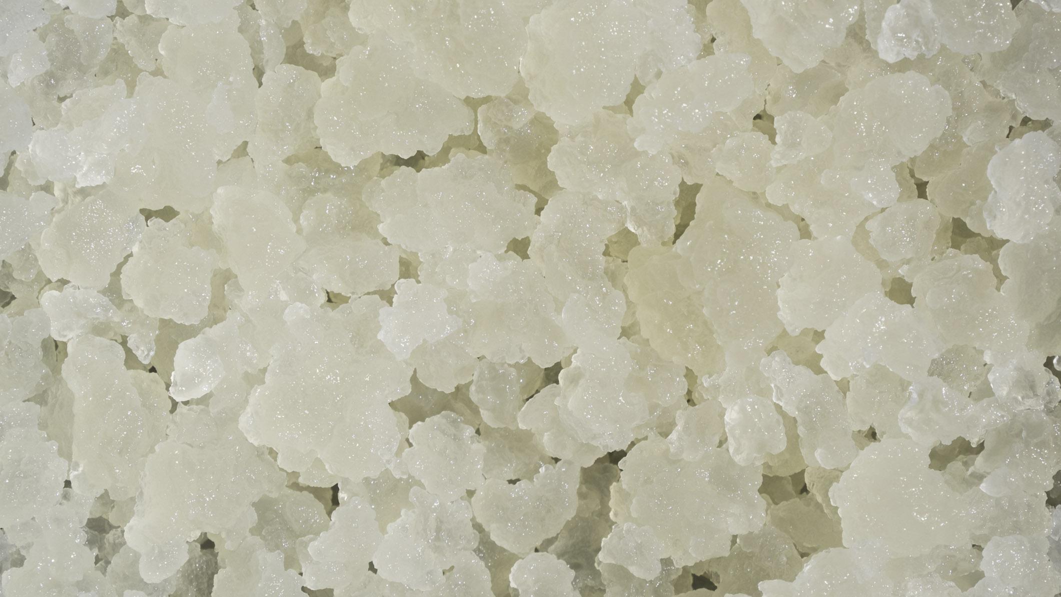 Sağlıklı bir bağışıklık sistemi için kefirli yoğurt tüketin