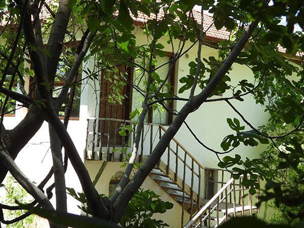 Özgü Namal, Köyceğiz defterini kapattı