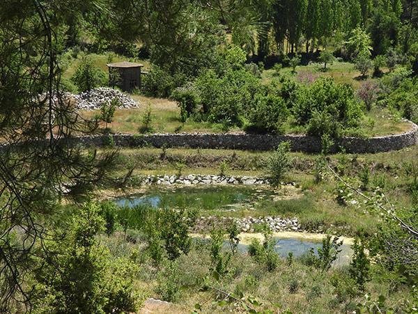 Özgü Namal, Köyceğiz defterini kapattı