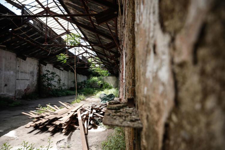 Dedektif gibi izini sürdü, tesadüfen buldu: Sandıktan servet çıktı