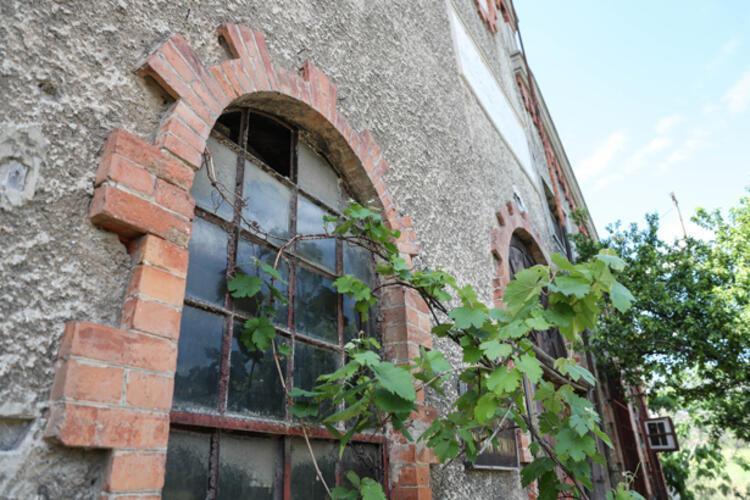 Dedektif gibi izini sürdü, tesadüfen buldu: Sandıktan servet çıktı