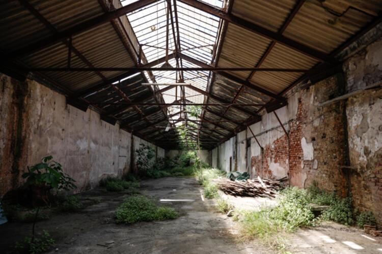 Dedektif gibi izini sürdü, tesadüfen buldu: Sandıktan servet çıktı