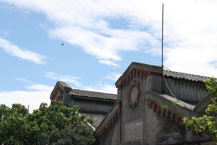 Dedektif gibi izini sürdü, tesadüfen buldu: Sandıktan servet çıktı