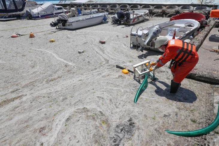 Son dakika haberi: Müsilaj kabusu devam ediyor İncelemeler dehşete düşürdü Son dakika haberi: Müsilaj kabusu devam ediyor İncelemeler dehşete düşürdü