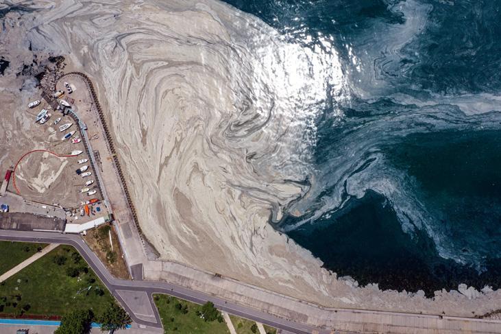 Son dakika haberi: Müsilaj kabusu devam ediyor İncelemeler dehşete düşürdü Son dakika haberi: Müsilaj kabusu devam ediyor İncelemeler dehşete düşürdü