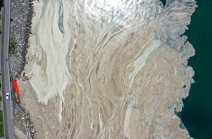 Son dakika haberi: Müsilaj kabusu devam ediyor İncelemeler dehşete düşürdü Son dakika haberi: Müsilaj kabusu devam ediyor İncelemeler dehşete düşürdü