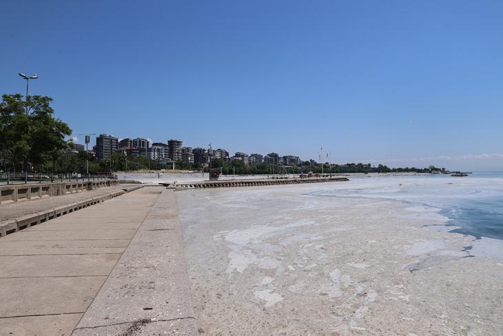 Son dakika haberi: Müsilaj kabusu devam ediyor İncelemeler dehşete düşürdü Son dakika haberi: Müsilaj kabusu devam ediyor İncelemeler dehşete düşürdü