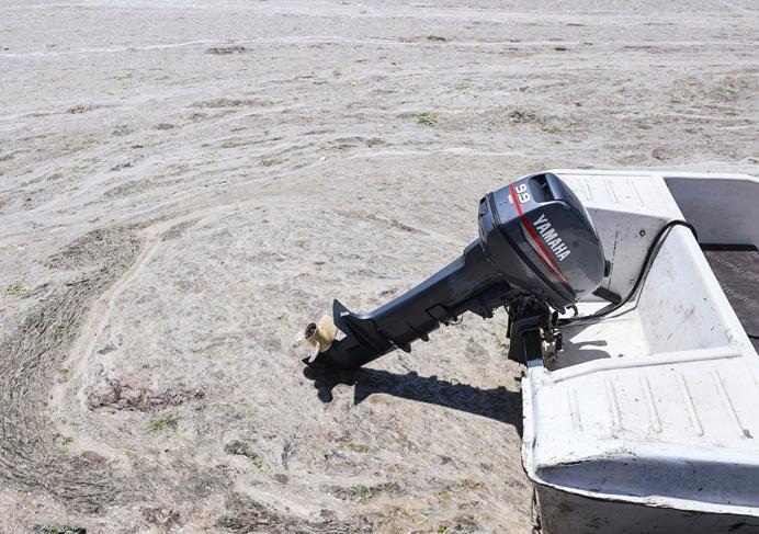 Son dakika haberi: Müsilaj kabusu devam ediyor İncelemeler dehşete düşürdü Son dakika haberi: Müsilaj kabusu devam ediyor İncelemeler dehşete düşürdü