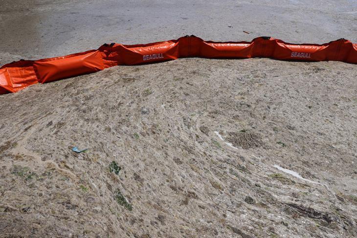 Son dakika haberi: Müsilaj kabusu devam ediyor İncelemeler dehşete düşürdü Son dakika haberi: Müsilaj kabusu devam ediyor İncelemeler dehşete düşürdü