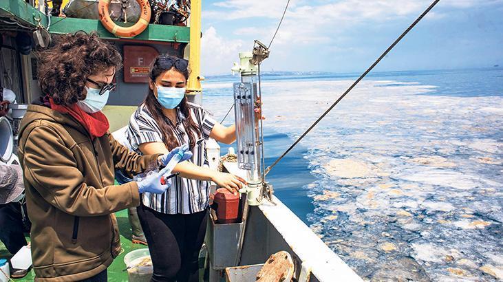 Son dakika haberi: Müsilaj kabusu devam ediyor İncelemeler dehşete düşürdü Son dakika haberi: Müsilaj kabusu devam ediyor İncelemeler dehşete düşürdü