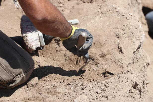 KAZILAR ARALIKSIZ DEVAM EDİYOR KAZILAR ARALIKSIZ DEVAM EDİYOR