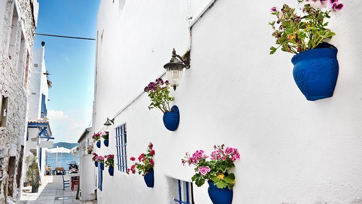 Egenin karakteristiği Egenin karakteristiği