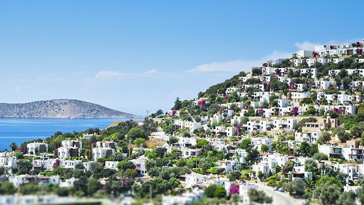 Timeın ilgisini çekti Timeın ilgisini çekti
