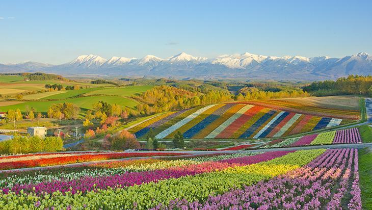 Hokkaido, Japonya Hokkaido, Japonya