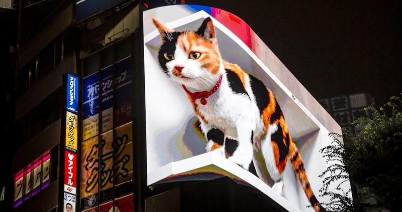 Hologram teknolojisiyle yaratılan ‘gerçekçi’ dünyalar ‘O kedi gelip sizi ısırabilir’