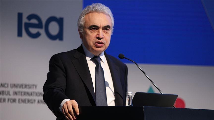 FATİH BİROL, ULUSLARARASI ENERJİ AJANSI (IEA) BAŞKANI
